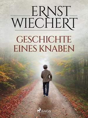 cover image of Geschichte eines Knaben
